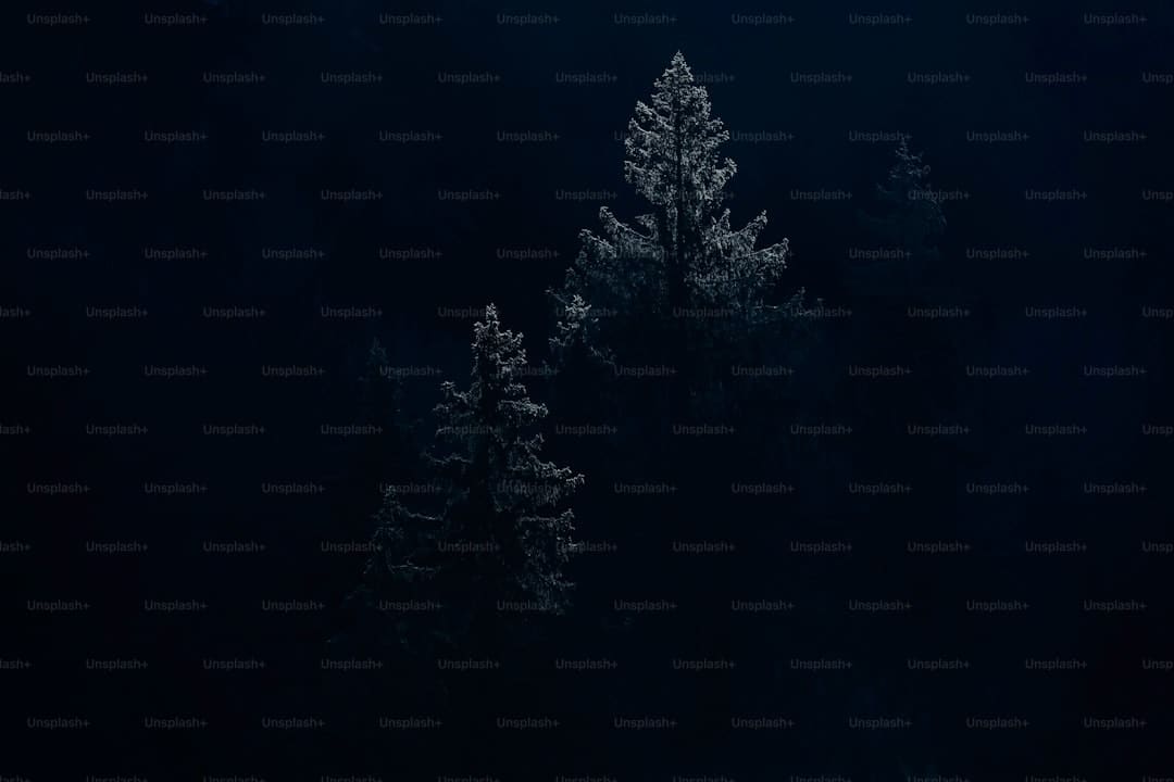 我国“哪吒闹海”与意大利“烈焰热情”在夜空磕碰！金山这场焰火秀你看了吗？